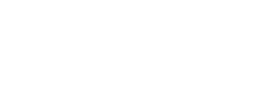Translating Ideas VISA